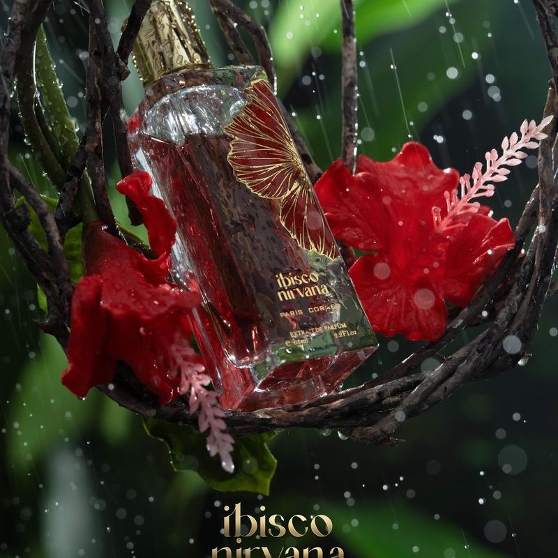 IBISCO NIRVANA 65 ML

By Paris Corner