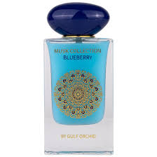 Blueberry Gulf Orchid for women and men